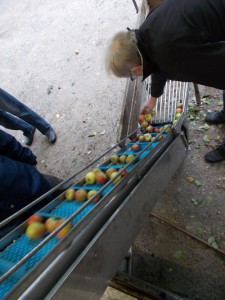 Mobilmost fra Skive havde fundet til Assens Planteskole.