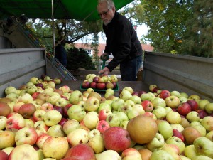 Æbler i lange baner blev presset i Assens.