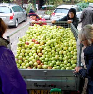 Filippa, Ingrid Marie, Cox Orange og mange andre æbler blev presset i Assens.