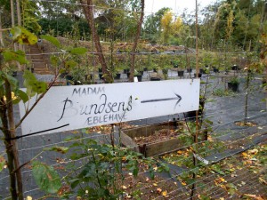 I dagens anledning var der også åbent i Madam Bundsens Haver.