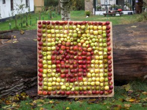 En æblemosaik skal der være til en æblefestival.